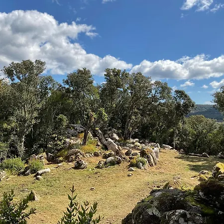 Semesterbostad Coquet Independant Entre Et Maquis